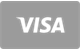Visa Kreditkarte als Zahlungsoption